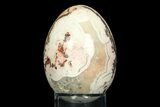 Polished Crazy Lace Agate Egg - Mexico #308703-1